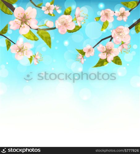 Beautiful Cherry Blossom, Branches of Tree, Natural Glowing Background - Vector