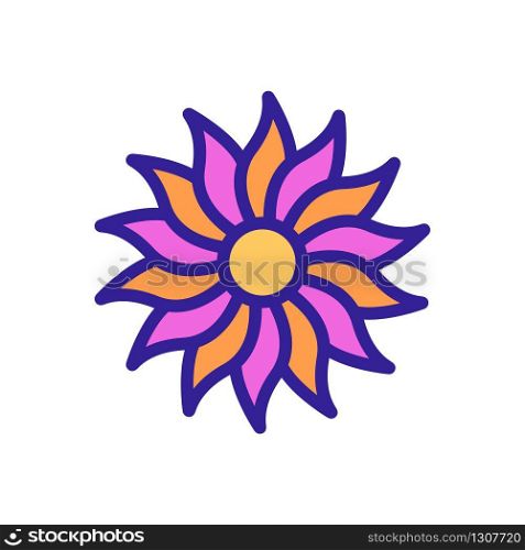 beautiful chrysanthemum icon vector. beautiful chrysanthemum sign. color isolated symbol illustration. beautiful chrysanthemum icon vector outline illustration