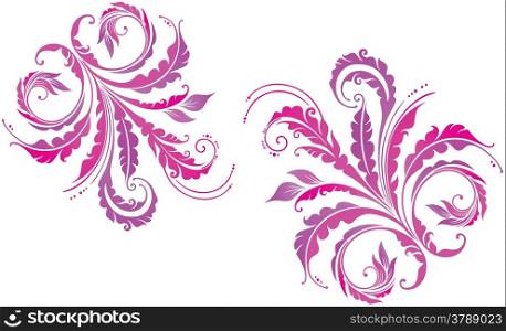 Beautiful colorful floral background with plants and leaves