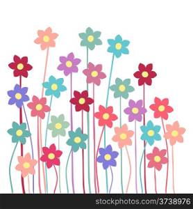 Beautiful colorful flowers in white square background