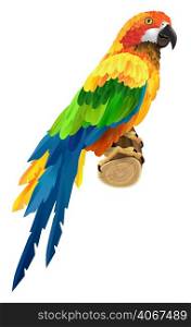 Beautiful colorful parrot on twig. Bird, fauna, wildlife. Tropics concept. Can be used for greeting cards, posters, leaflets and brochure