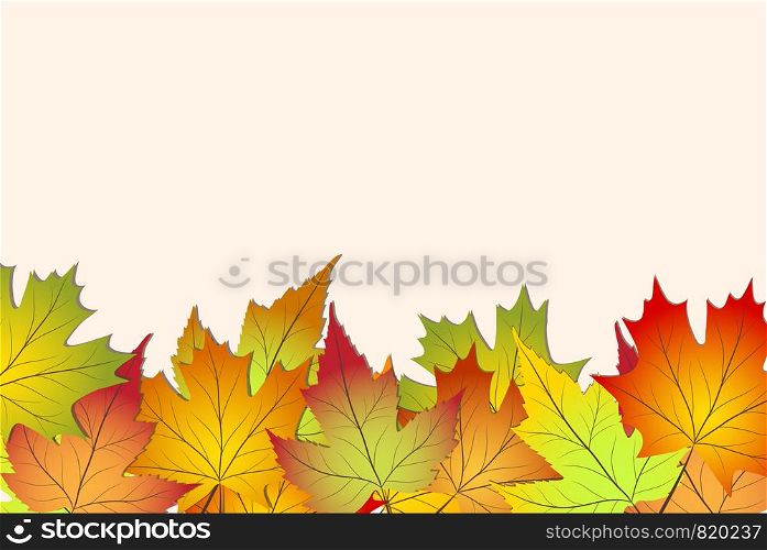 beautiful colourful autumn leaves, back to school stock vector illustration background
