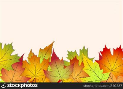 beautiful colourful autumn leaves, back to school stock vector illustration background