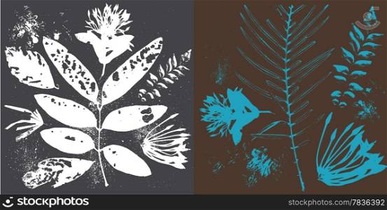 Beautiful floral design elements- Great for textures and bacakgrounds for your project!