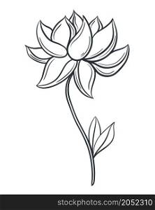 Beautiful flower hand drawn isolated vector illustration. Blooming vintage sketch. Flower with blossoming bud petals on a branch with leaves. Beautiful flower hand drawn isolated vector illustration