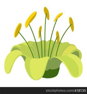 Beautiful flower icon. Cartoon illustration of beautiful flower vector icon for web. Beautiful flower icon, cartoon style