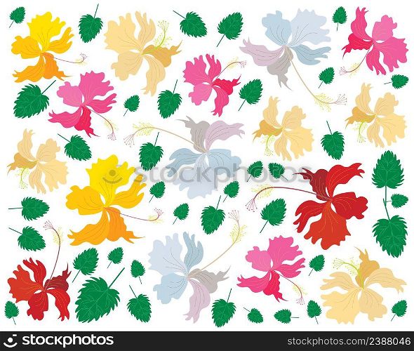 Beautiful Flower, Illustration Background of Fresh Colorful Hibiscus Flowers, Rose Mallow or Bunga Raya Isolated on A White Background.