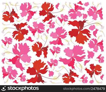 Beautiful Flower, Illustration Background of Fresh Red and Pink Hibiscus Flowers, Rose Mallow or Bunga Raya.