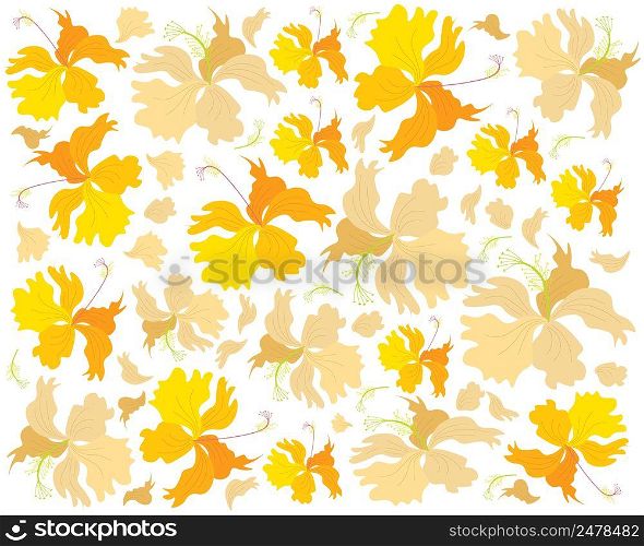 Beautiful Flower, Illustration Background of Fresh Yellow Hibiscus Flowers, Rose Mallow or Bunga Raya.