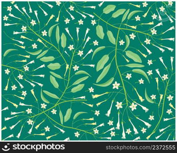 Beautiful Flower, Illustration Background of White Tuberose Flowers or Night Blooming Jasmine with Green Leaves.