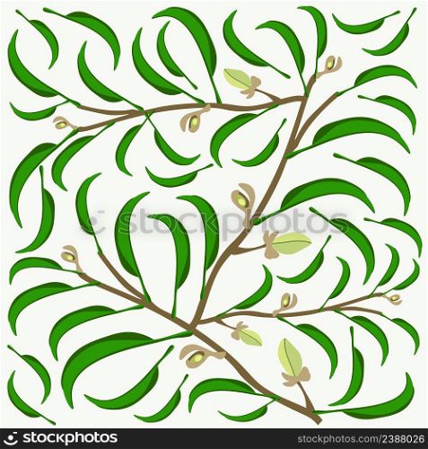 Beautiful Flower, Illustration Background of Wine Magnolia Flower or Magnolia Figo Flowers with Green Leaves on A Branch.