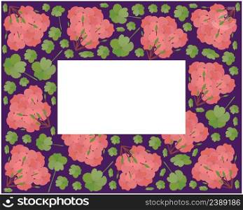 Beautiful Flower, Illustration Frame of Beautiful Red Geranium Flowers or Pelargonium Graveolens Flowers. 