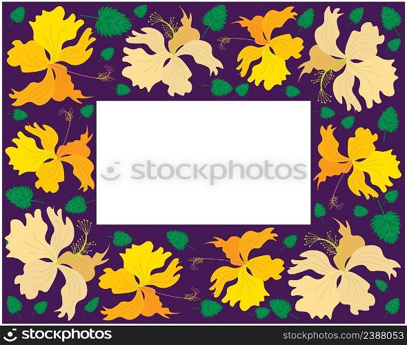 Beautiful Flower, Illustration Frame of Fresh Colorful Hibiscus Flowers, Rose Mallow or Bunga Raya Isolated on A White Background.