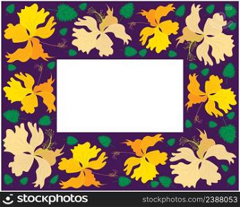 Beautiful Flower, Illustration Frame of Fresh Colorful Hibiscus Flowers, Rose Mallow or Bunga Raya Isolated on A White Background.
