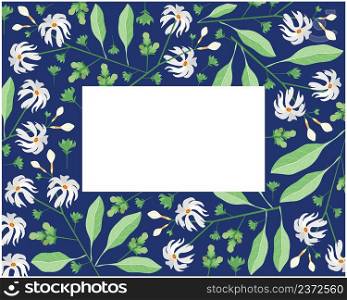 Beautiful Flower, Illustration Frame of Nyctanthes Arbor-tristis or Night Flowering Jasmine with Green Leaves.