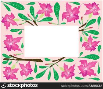 Beautiful Flower, Illustration Frame of Pink Desert Rose Flowers or Pink Bignonia Flowers with Green Leaves Isolated on White Background.