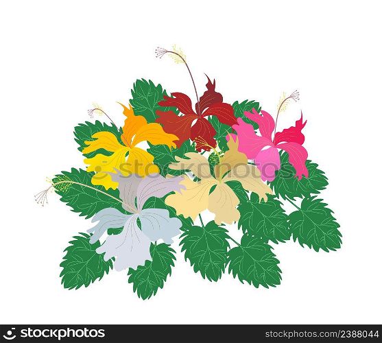 Beautiful Flower, Illustration Fresh Colorful Hibiscus Flowers, Rose Mallow or Bunga Raya Isolated on A White Background.