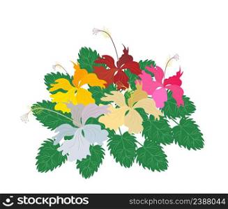 Beautiful Flower, Illustration Fresh Colorful Hibiscus Flowers, Rose Mallow or Bunga Raya Isolated on A White Background.