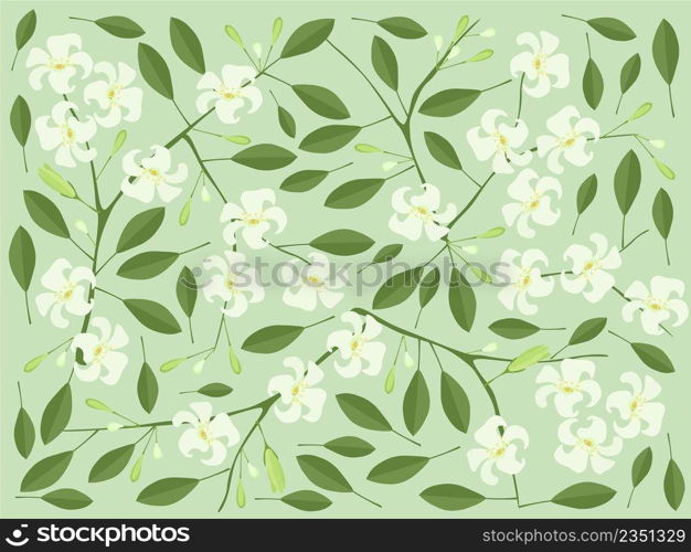 Beautiful Flower, Illustration of Orange Jasmine or Mock Orange Flowers Background. 