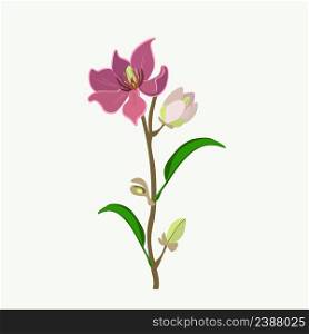 Beautiful Flower, Illustration of Wine Magnolia Flower or Magnolia Figo Flowers with Green Leaves on A Branch.