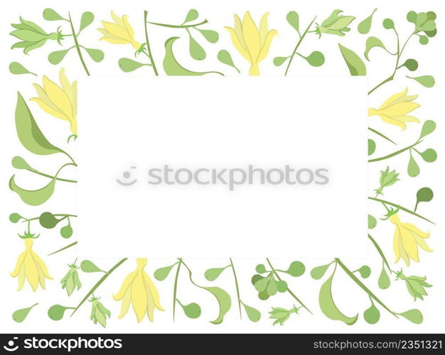 Beautiful Flower, Illustration of Yellow Color of Climbing Ylang-Ylang Flowers Frame. 