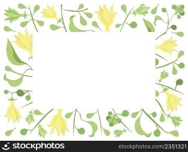 Beautiful Flower, Illustration of Yellow Color of Climbing Ylang-Ylang Flowers Frame. 