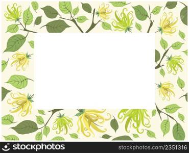 Beautiful Flower, Illustration of Yellow Color of Ylang-Ylang Flowers Frame.
