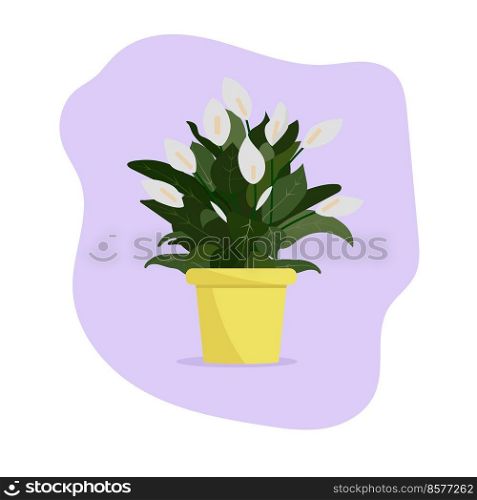 Beautiful flower in a pot. Plant in a pot. Spathiphyllum. Flat vector illustration. Beautiful flower in a pot. Plant in a pot. Spathiphyllum