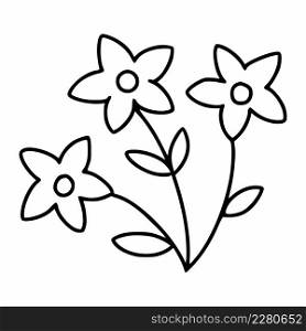 Beautiful flower in shape of star. Vector illustration of doodles.