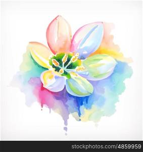 Beautiful flower, watercolor painting, mesh vector