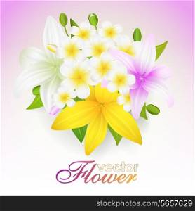 Beautiful flowers background, vector illustration with lilies - flowers, buds and leaves