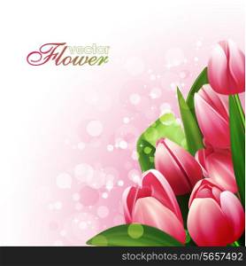 Beautiful flowers background, vector illustration with tulips