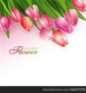 Beautiful flowers background, vector illustration with tulips