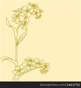 Beautiful flowers on a white background drawn by hand