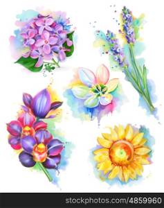 Beautiful flowers, watercolor painting, mesh vector icon set