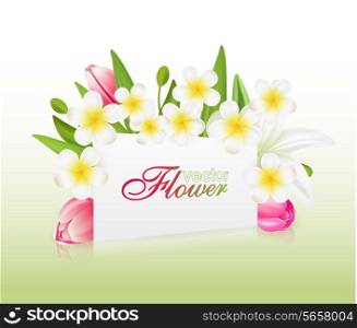 Beautiful flowers with greeting card , vector illustration with tulips and lilies