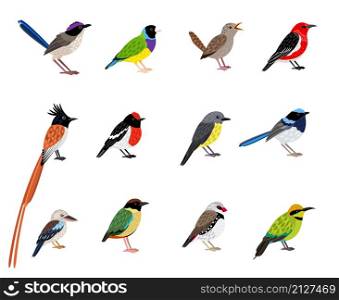 Beautiful flying bird set. Cartoon exotic sky characters with cute coloring plumage, vector illustration of little birds with beak and feathers isolated on white background. Beautiful flying bird set