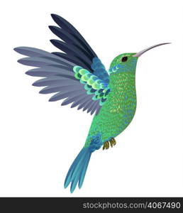 Beautiful flying hummingbird. Design element. For banners, posters, leaflets and brochures.