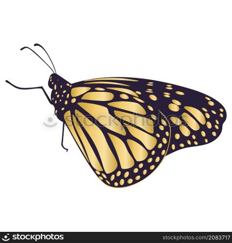 Beautiful gold butterfly isolated vector illustration
