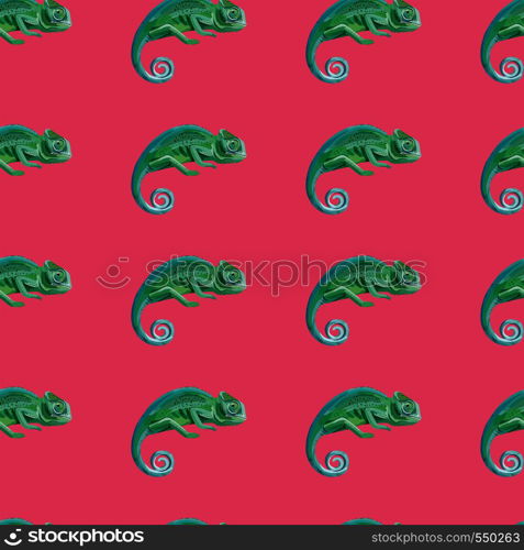 Beautiful green chameleon identical to the real animal vector image seamless pattern pink background