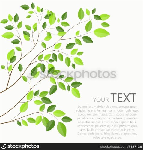 Beautiful Green Tree on a White Background Vector Illustration. EPS10. Beautiful Green Tree on a White Background Vector Illustration