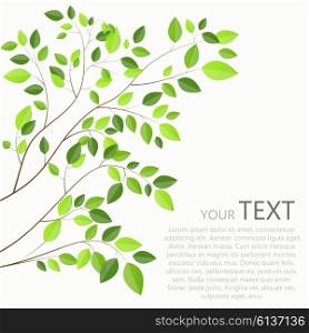 Beautiful Green Tree on a White Background Vector Illustration. EPS10. Beautiful Green Tree on a White Background Vector Illustration