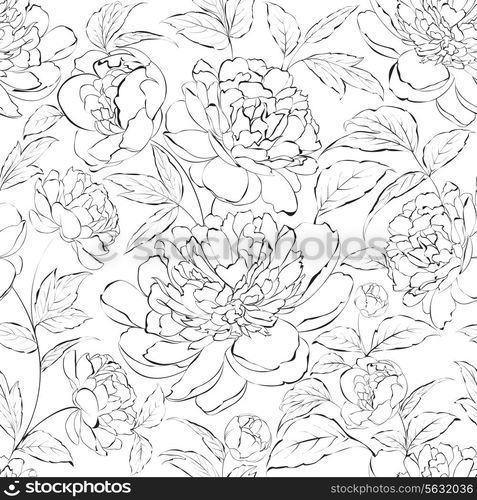 Beautiful hand drawn illustration of peony on a white background.