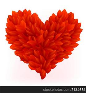 Beautiful heart made from red petals