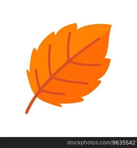 Beautiful leaf composition. Leaves change color in autumn