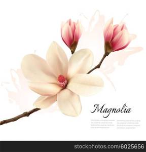 Beautiful magnolia flower background. Vector.