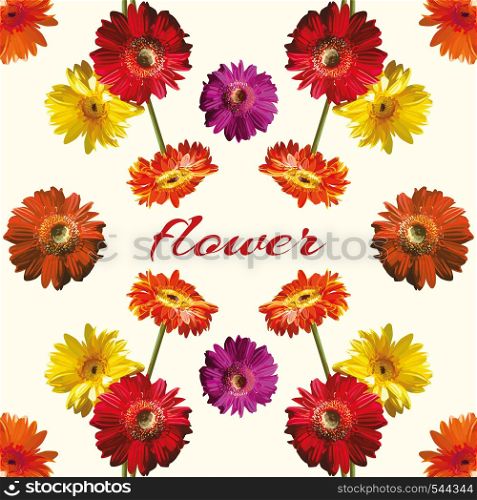 Beautiful mirror bouquet of red, yellow, orange, purple gerber flower isolated. Cool vector wallpaper on the light background