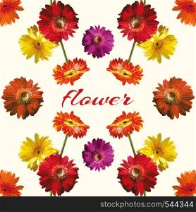 Beautiful mirror bouquet of red, yellow, orange, purple gerber flower isolated. Cool vector wallpaper on the light background