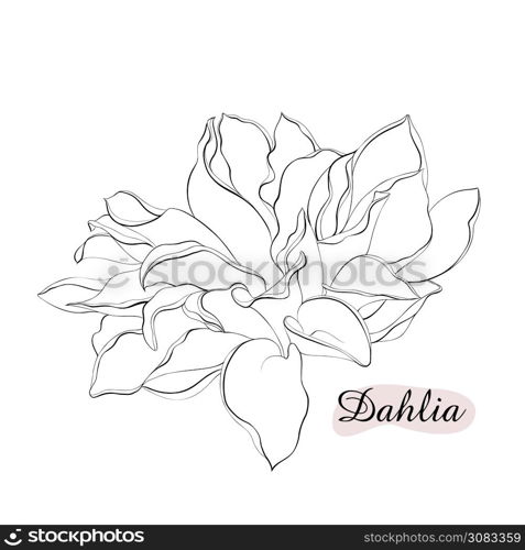 Beautiful monochrome black and white dahlia flower isolated on background. Hand-drawn contour lines. for greeting cards and invitations of wedding, birthday, mother s day and other seasonal holiday. Beautiful monochrome black and white dahlia flower isolated on background. Hand-drawn contour lines. for greeting cards and invitations of wedding, birthday, mother s day and other seasonal holiday.