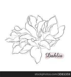 Beautiful monochrome black and white dahlia flower isolated on background. Hand-drawn contour lines. for greeting cards and invitations of wedding, birthday, mother s day and other seasonal holiday. Beautiful monochrome black and white dahlia flower isolated on background. Hand-drawn contour lines. for greeting cards and invitations of wedding, birthday, mother s day and other seasonal holiday.